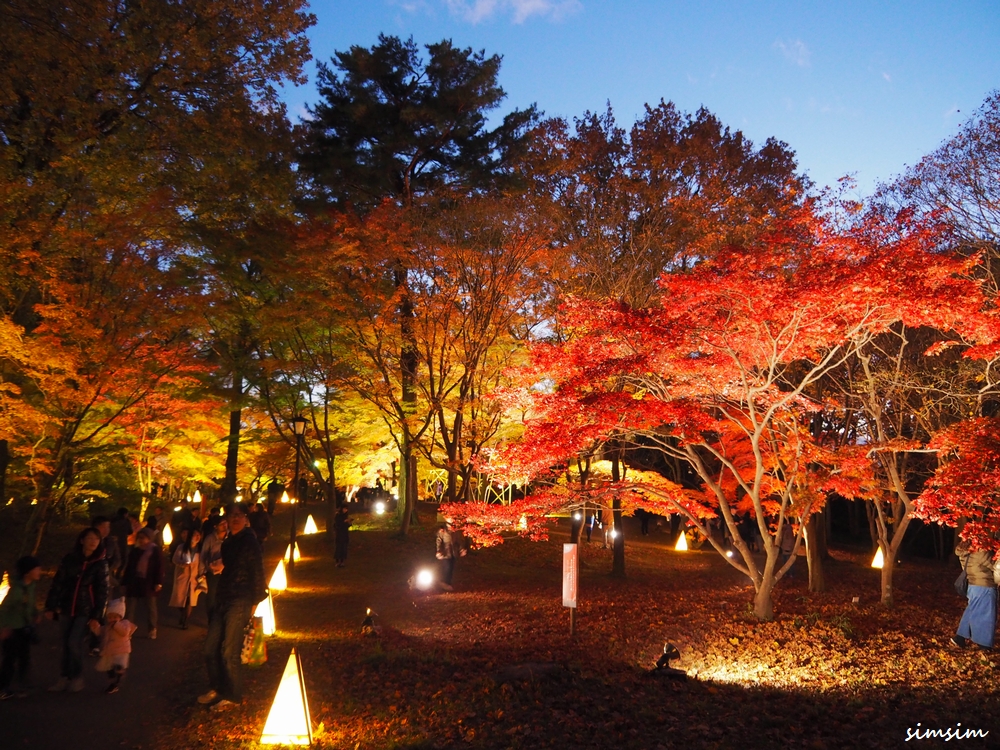 武蔵丘陵森林公園で紅葉ライトアップ 紅葉見ナイト を楽しむ