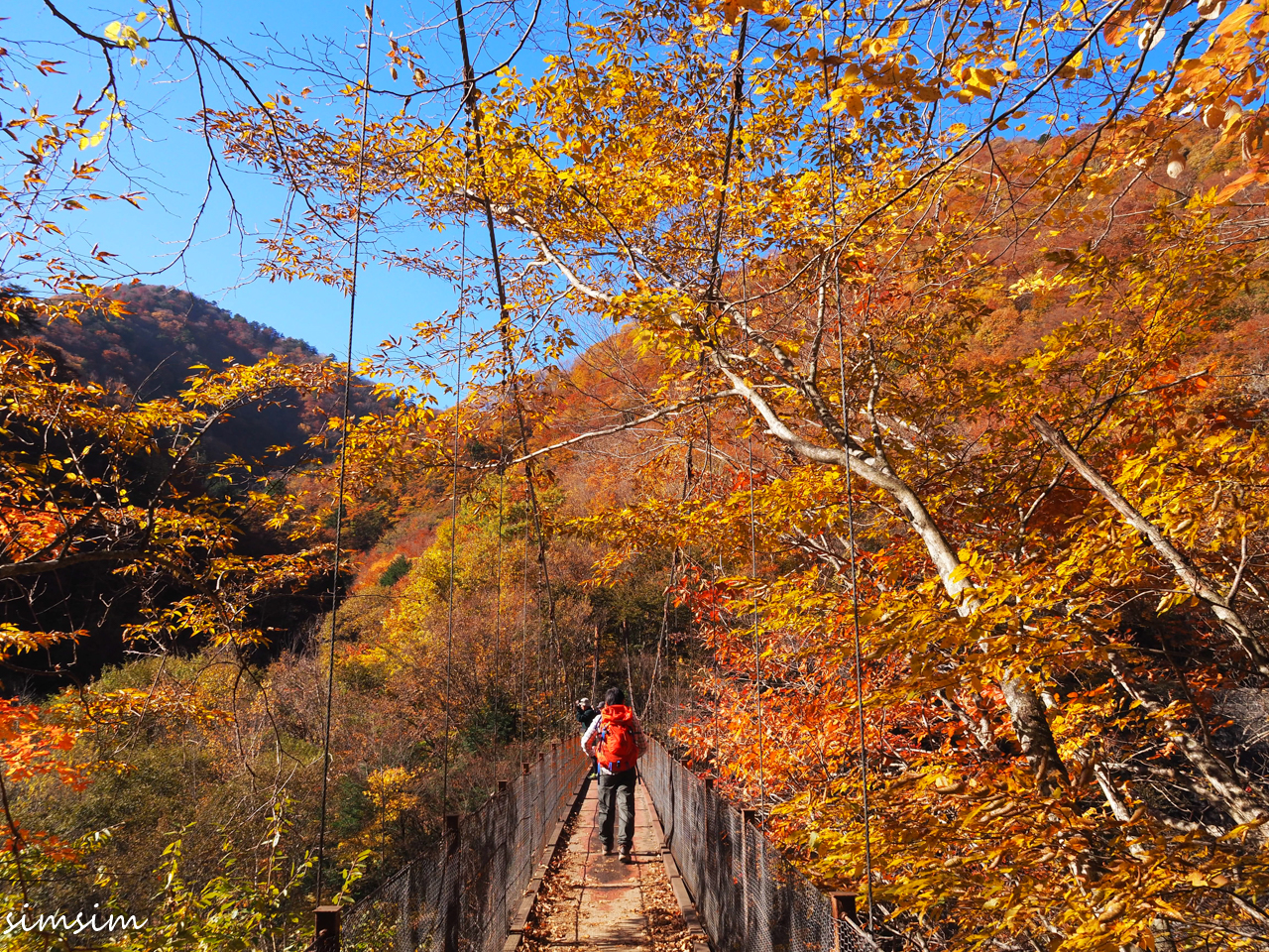 西沢渓谷紅葉ハイキング