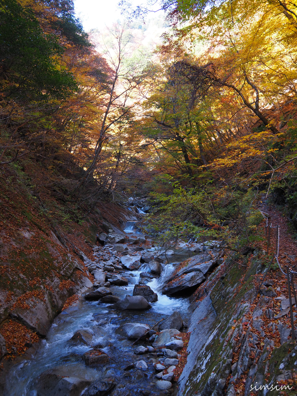 西沢渓谷紅葉ハイキング