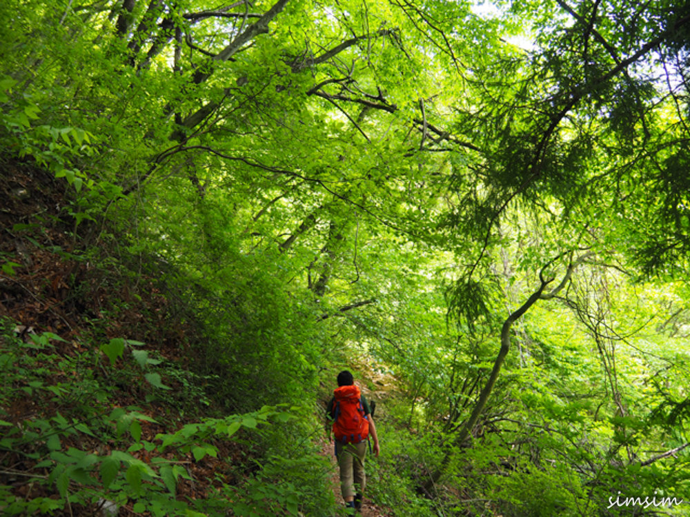 浅間嶺ハイキング