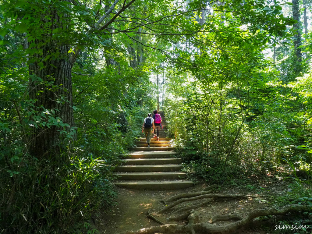 高尾山稲荷山コース