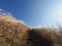 大野山登山