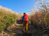 冬の低登山の服装