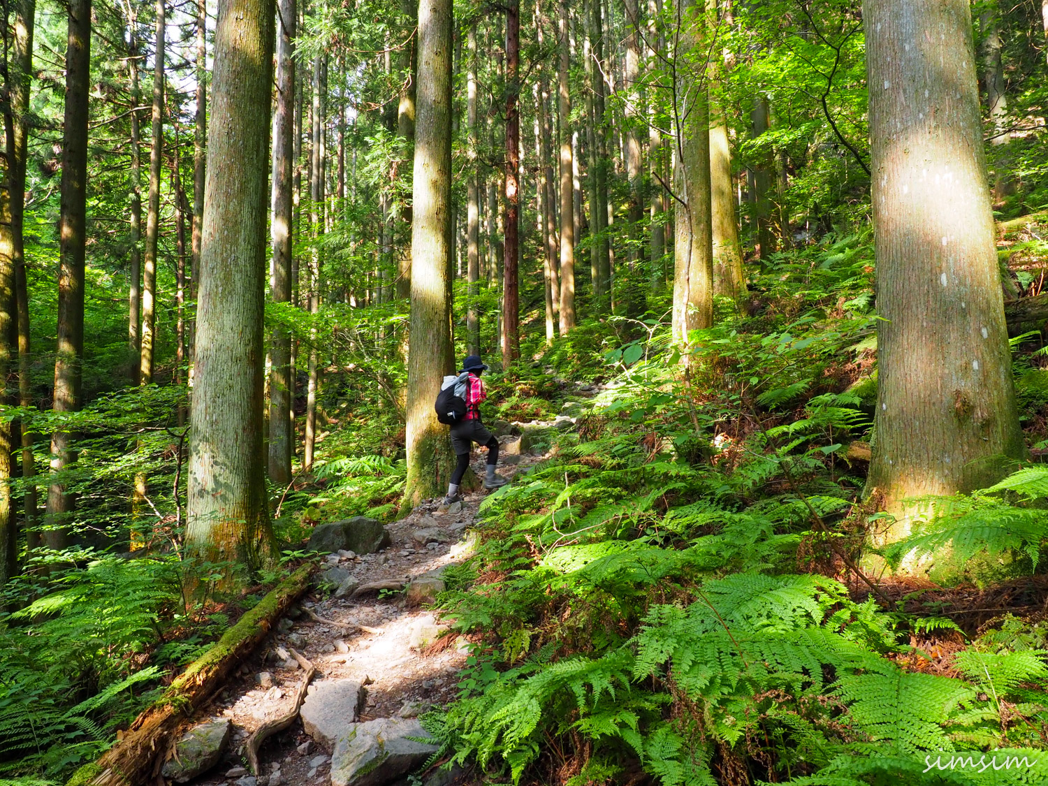 棒ノ折山登山