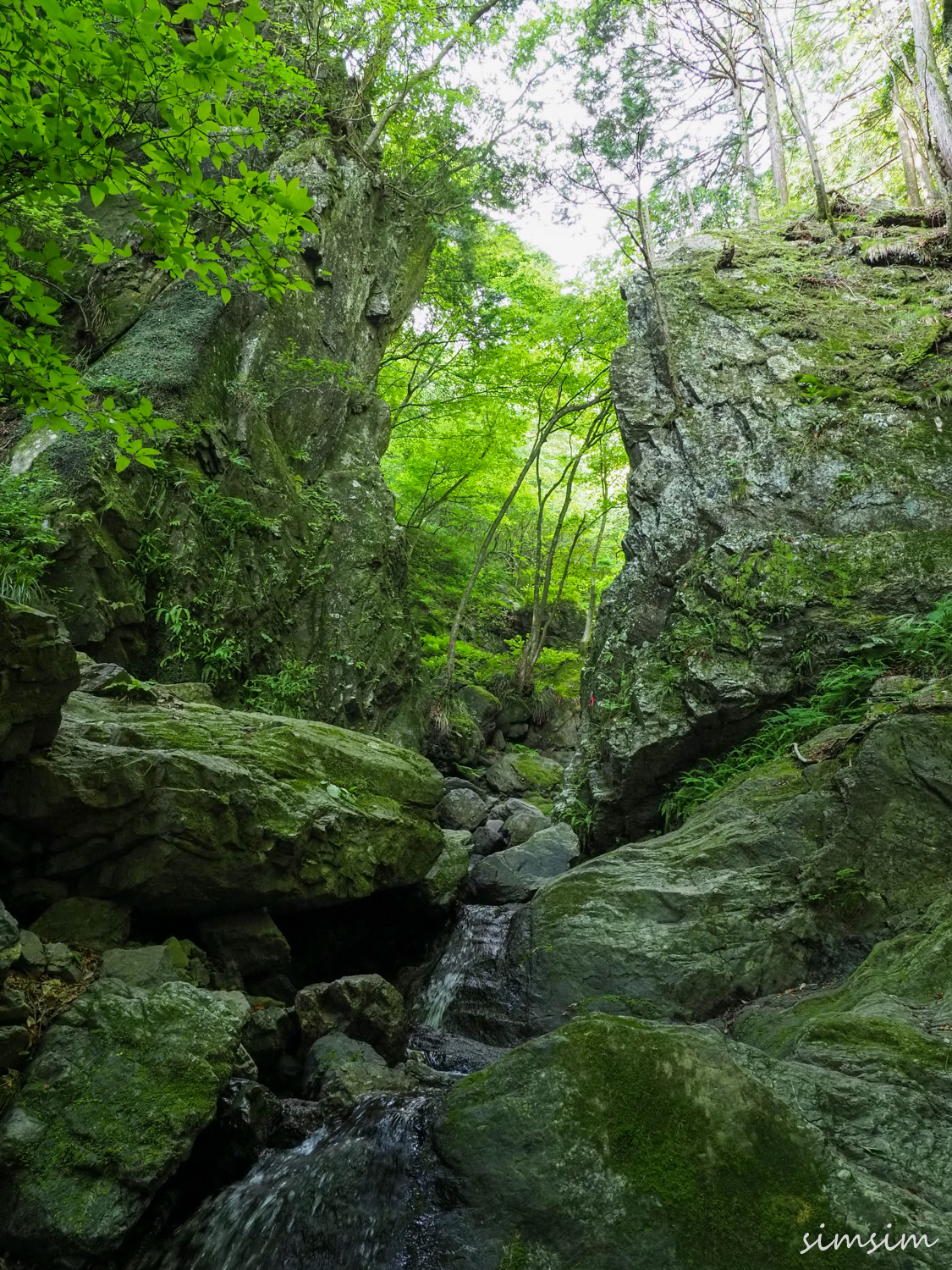 棒ノ折山登山