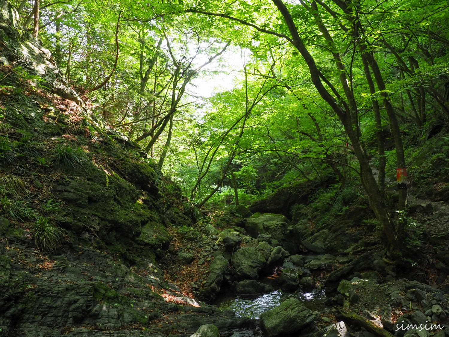 棒ノ折山登山