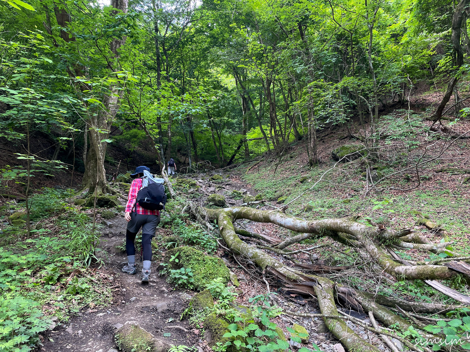 棒ノ折山登山