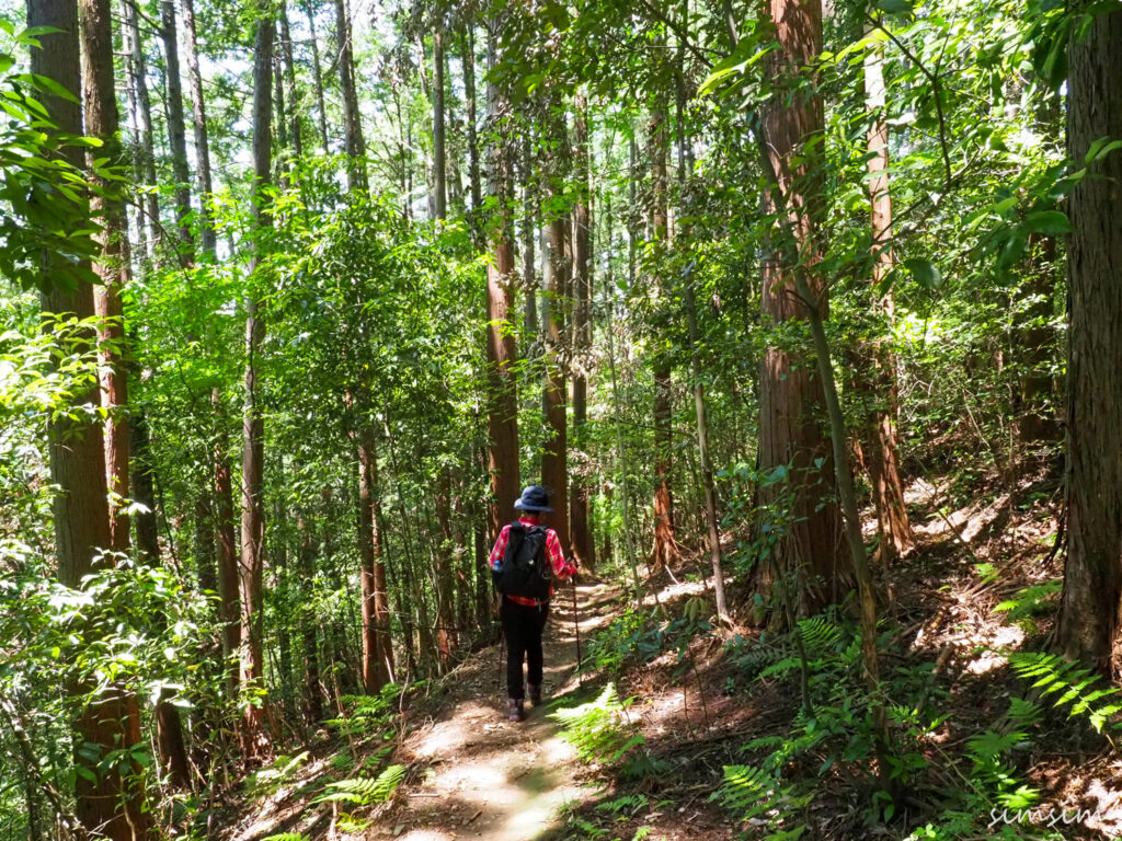 大高取山登山