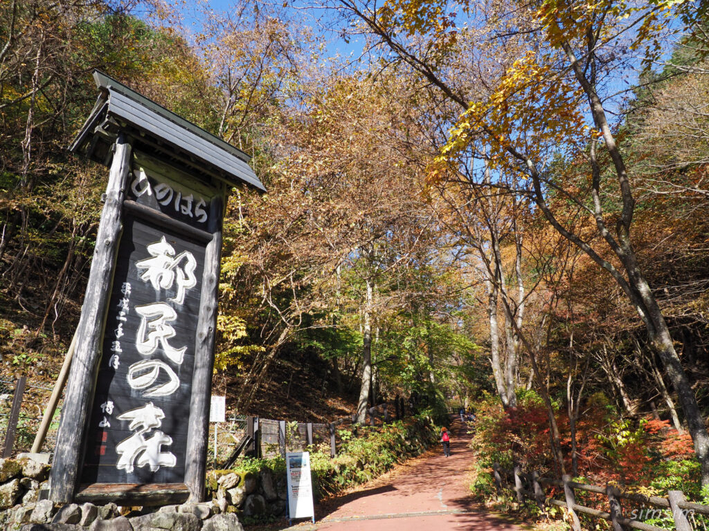 三頭山登山