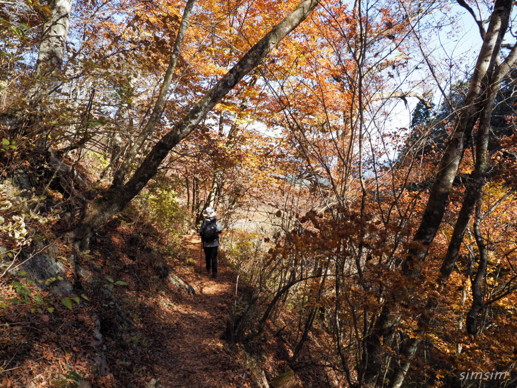 三頭山登山