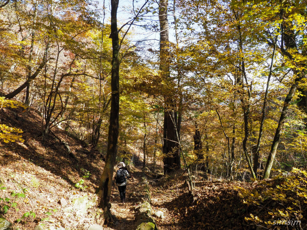 三頭山登山
