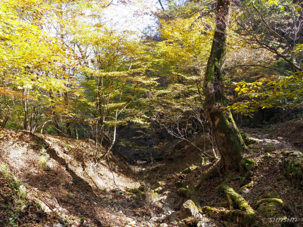 三頭山登山
