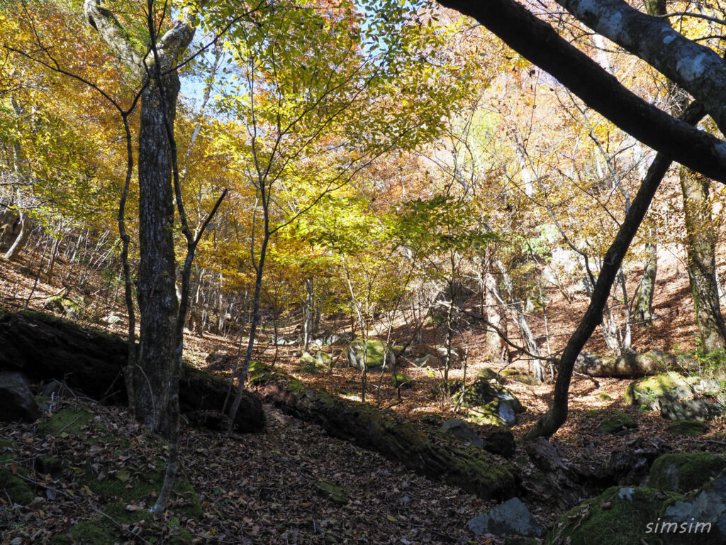 三頭山登山