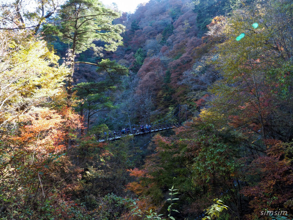 三頭山登山