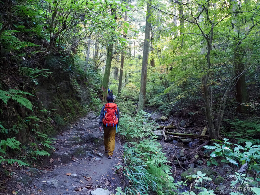 高尾山紅葉登山