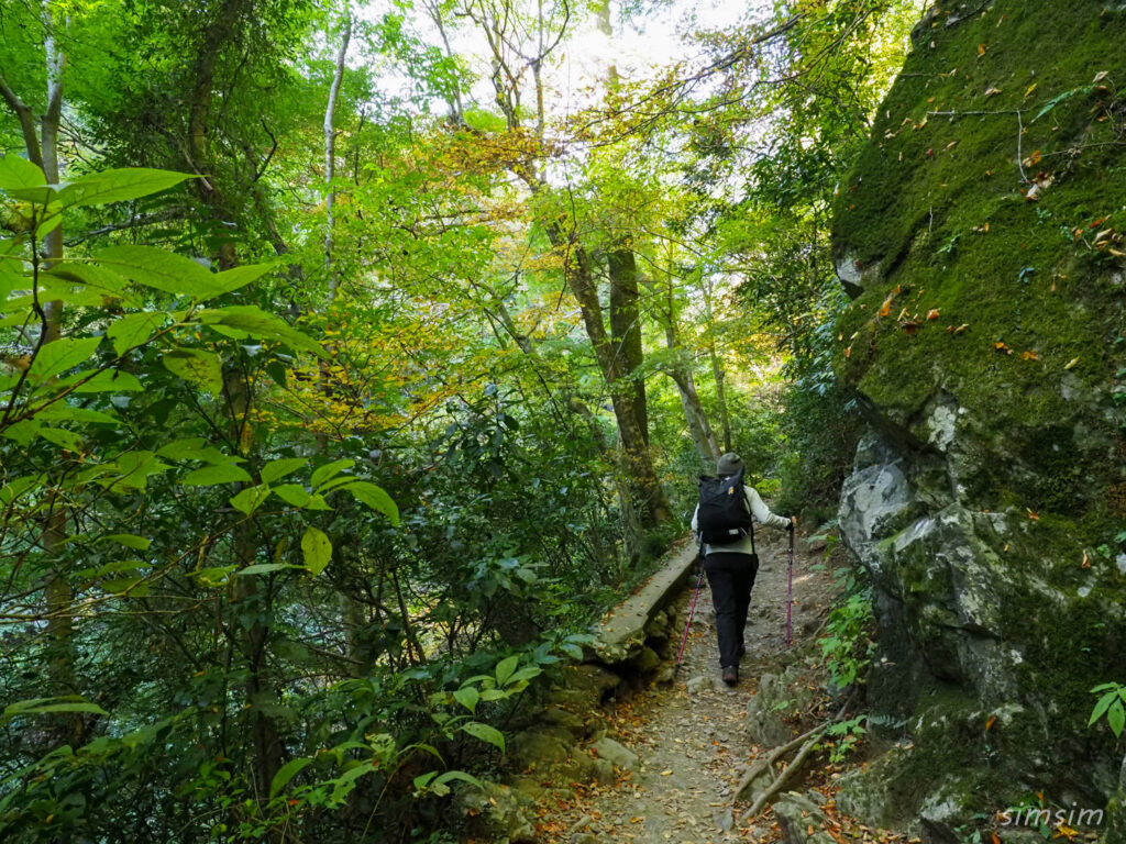 高尾山紅葉登山