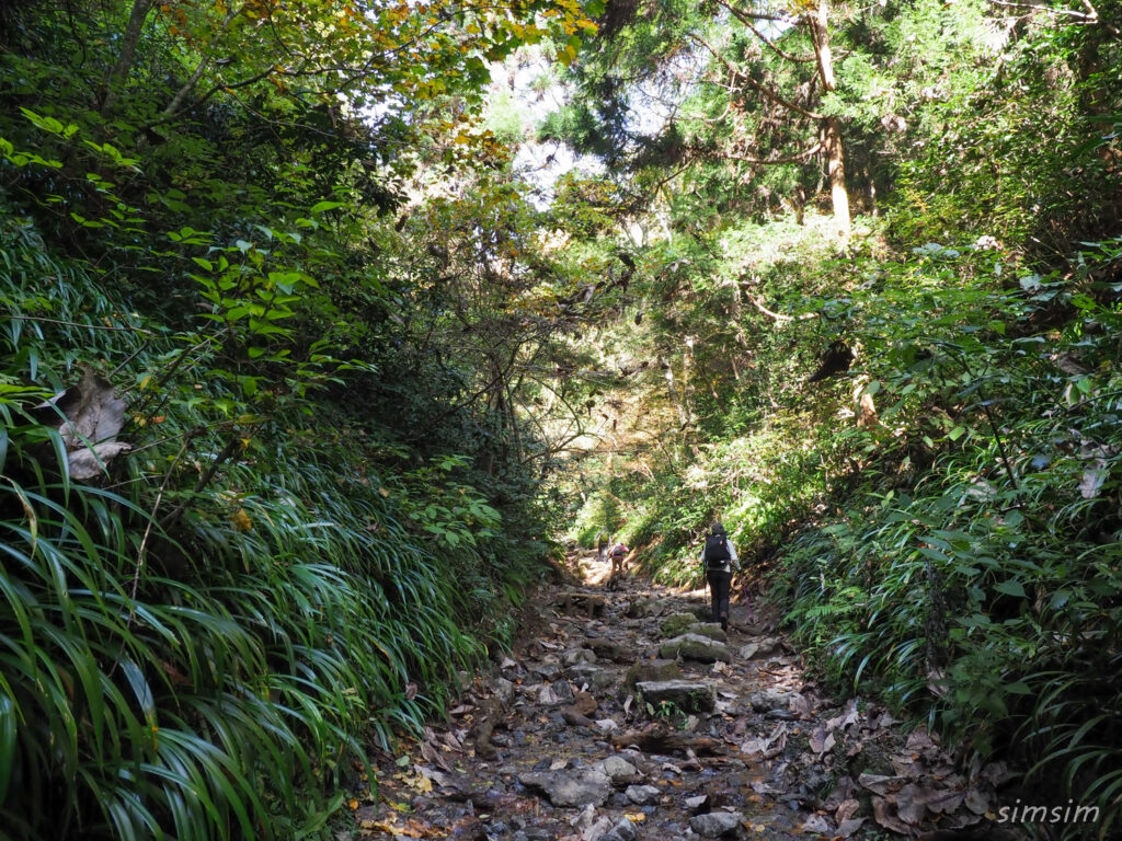 高尾山紅葉登山