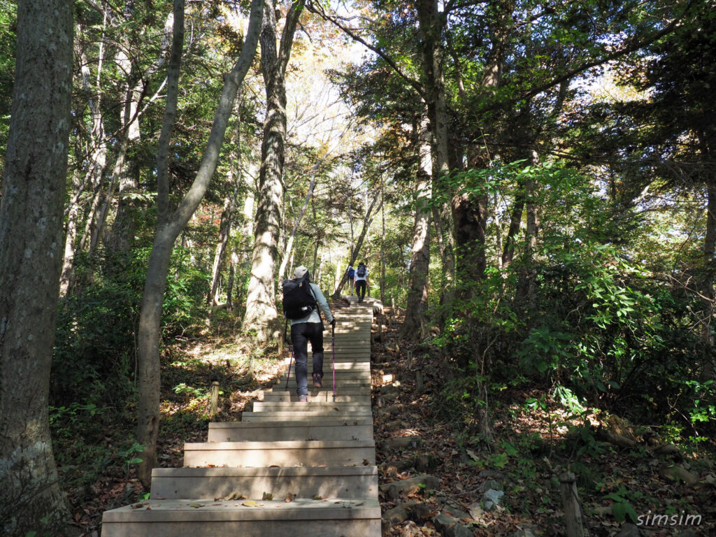 高尾山紅葉登山