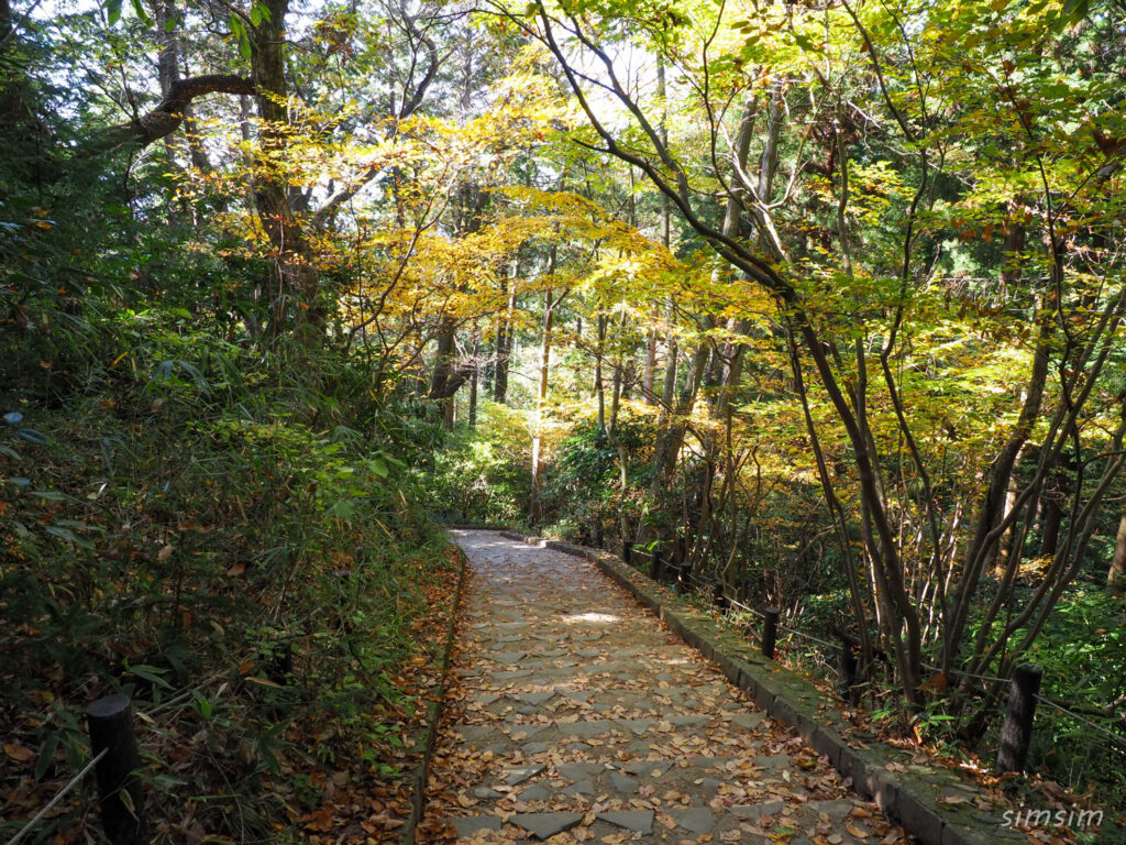 高尾山紅葉登山