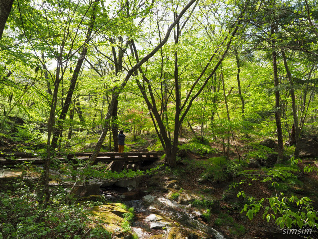 栃木県民の森