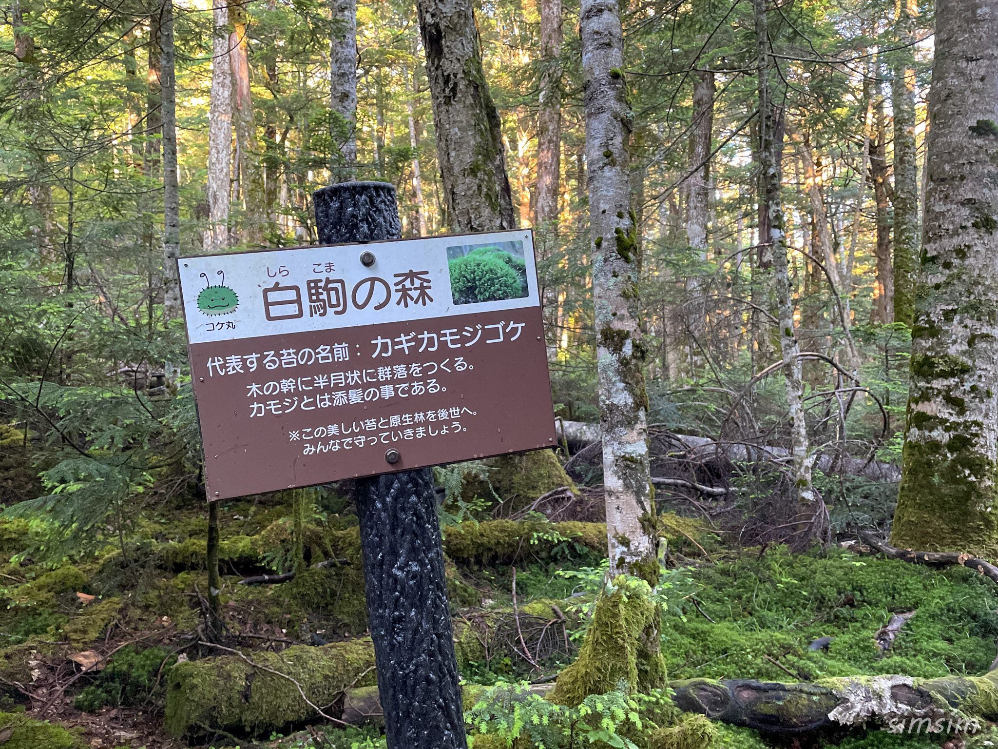 白駒池~にゅう登山