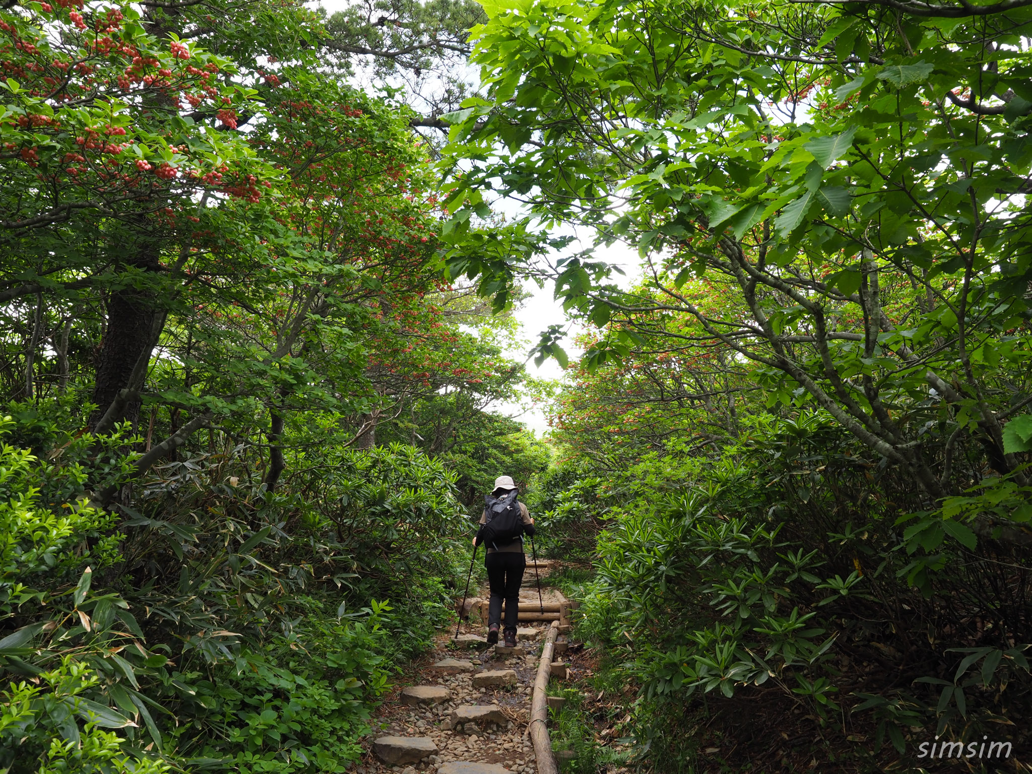 安達太良山登山
