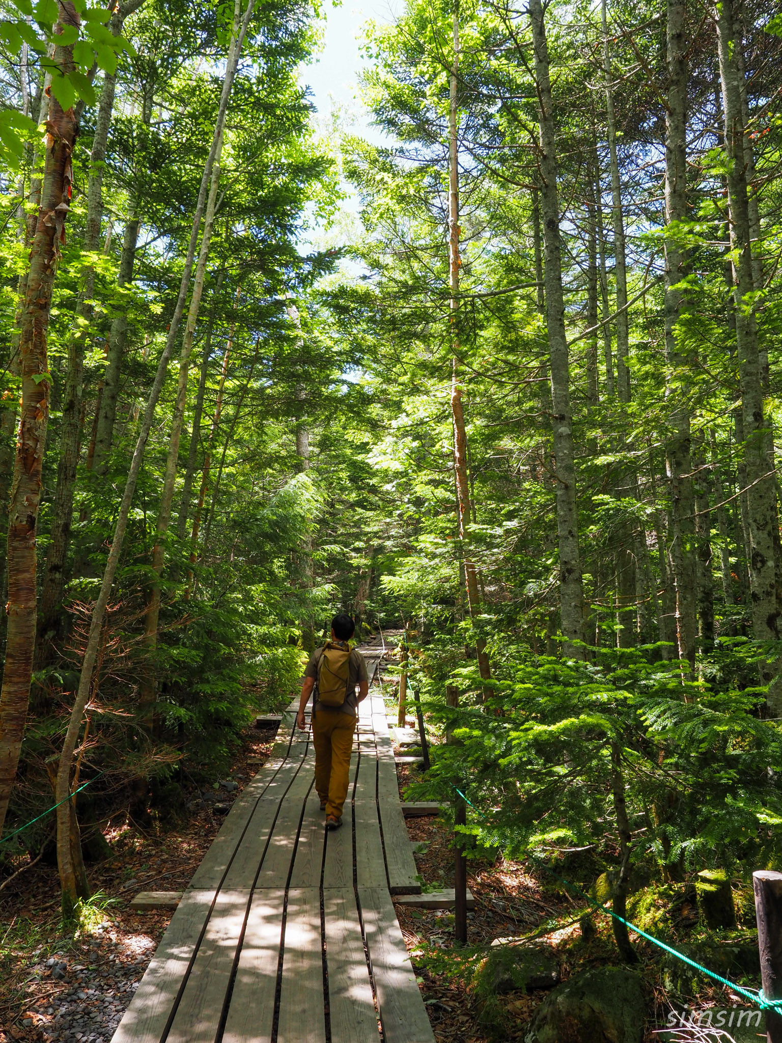 白駒池~にゅう登山