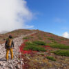 大雪山黒岳～お鉢平展望台紅葉登山