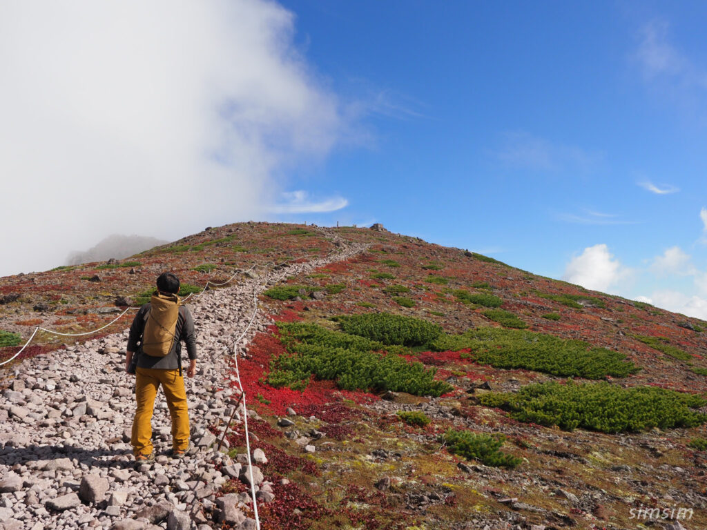大雪山黒岳~お鉢平展望台紅葉登山