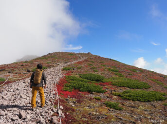 大雪山黒岳～お鉢平展望台紅葉登山