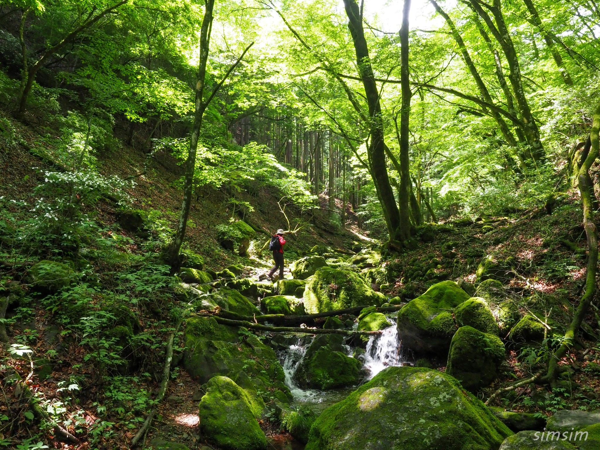 御岳山ロックガーデン