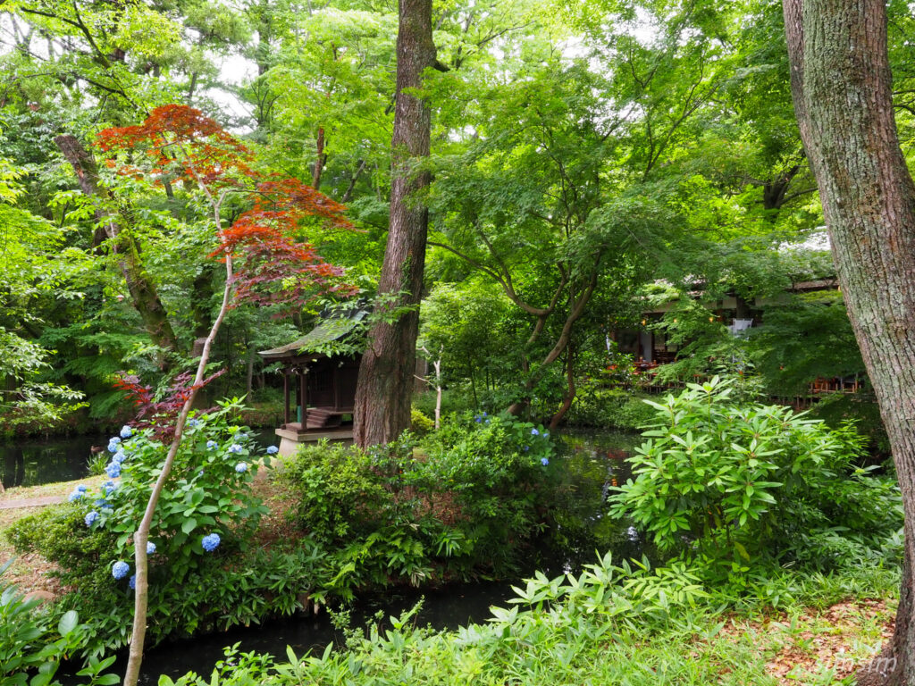 深大寺