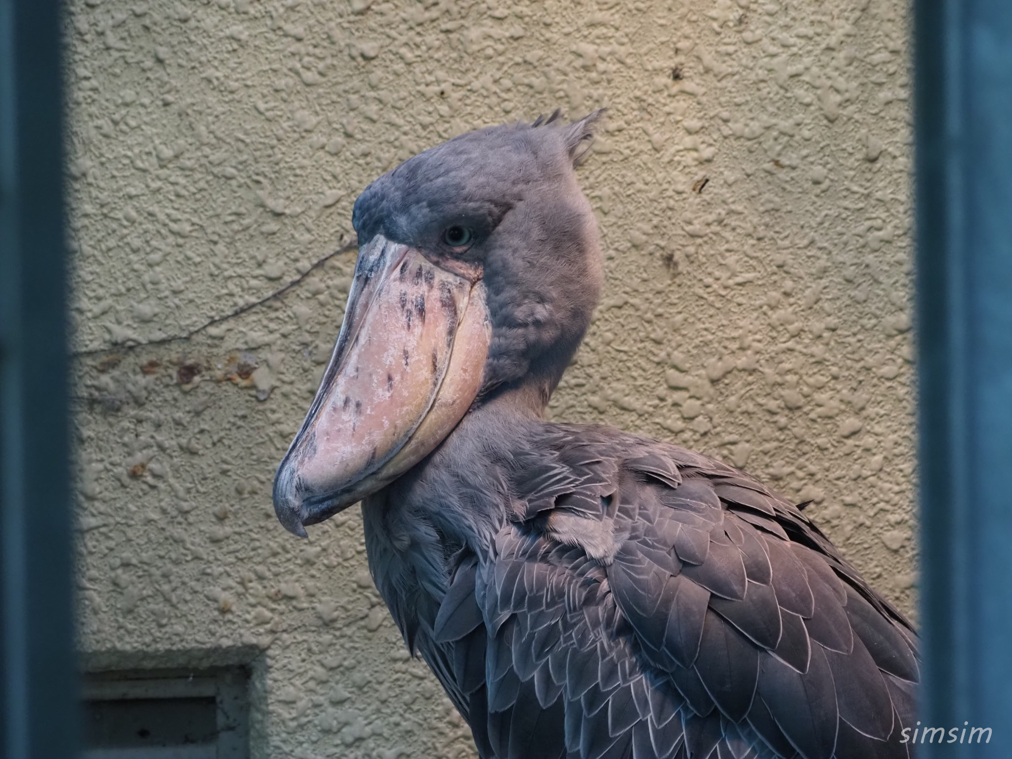 上野動物園