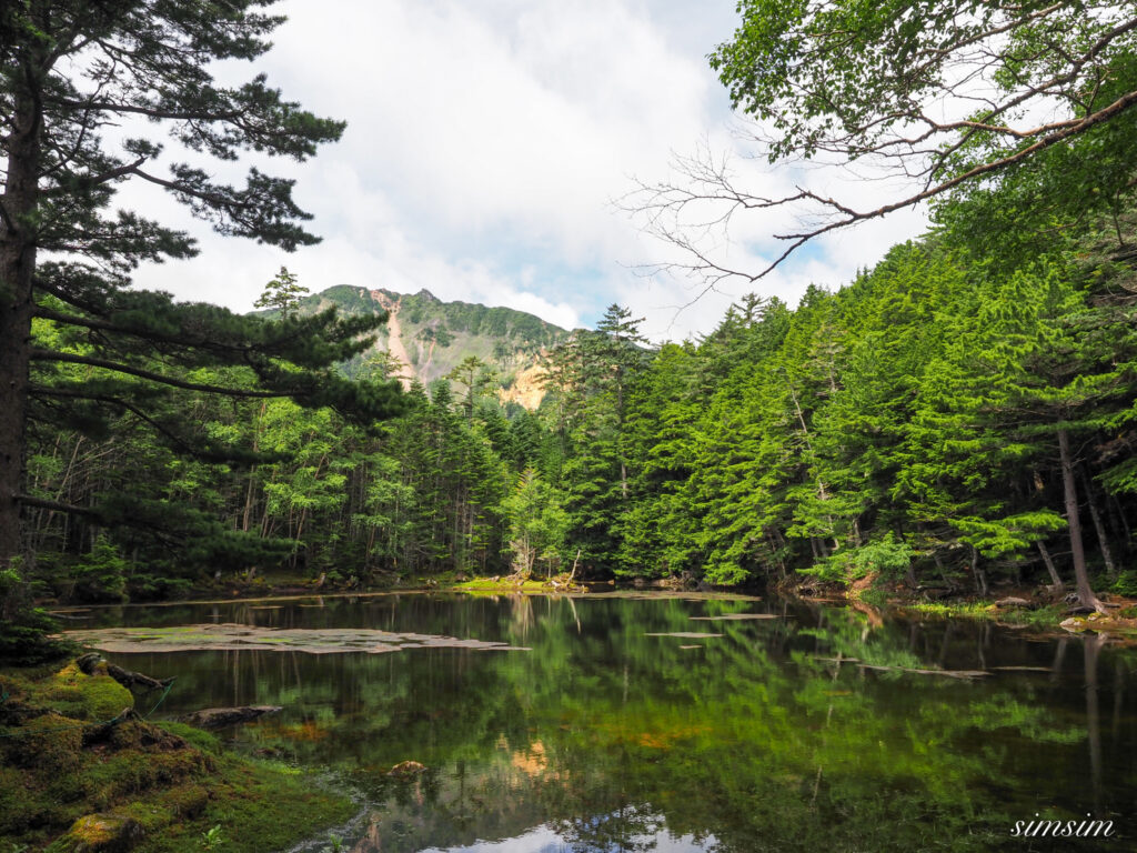 八ヶ岳みどり池