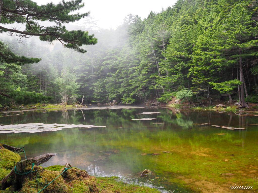 八ヶ岳みどり池