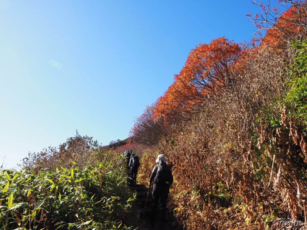 黒岳登山