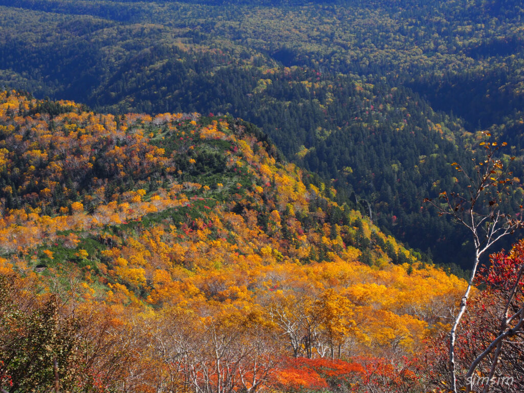 黒岳登山