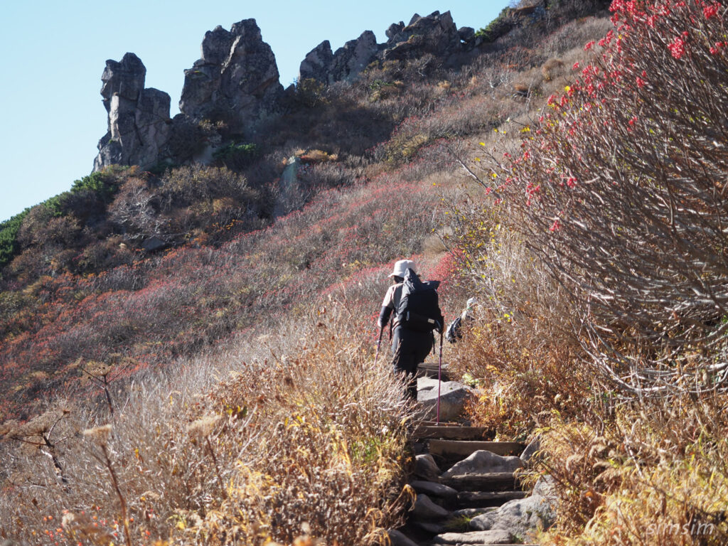 黒岳登山