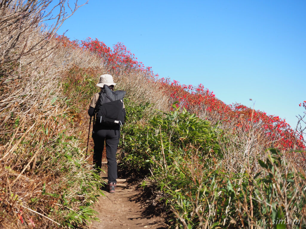 黒岳登山