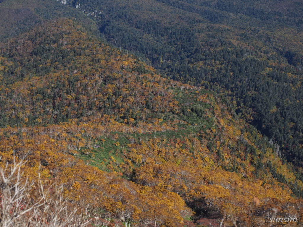 黒岳登山