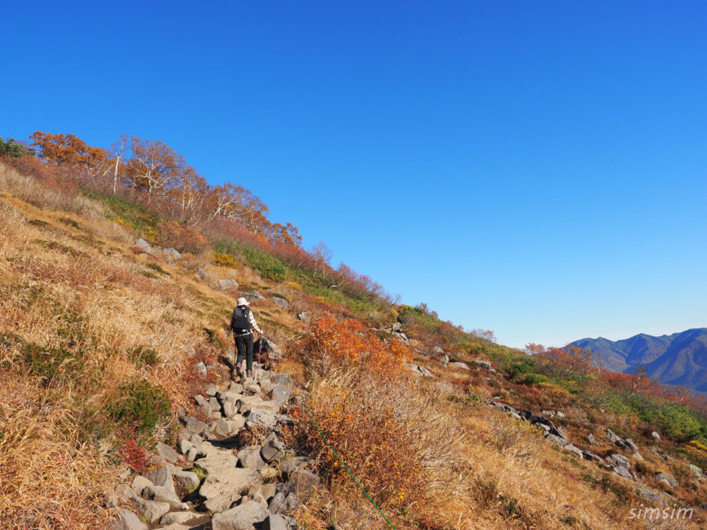 銀泉台～大雪山赤岳登山