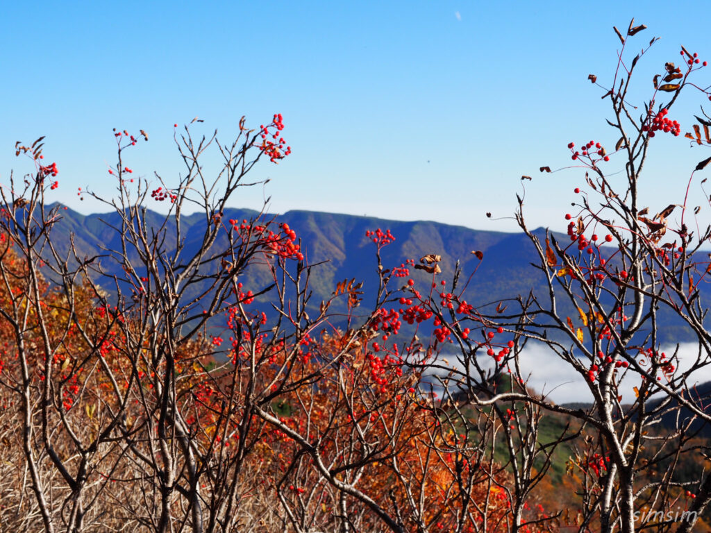 銀泉台～大雪山赤岳登山