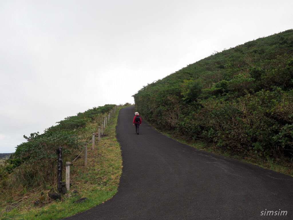 伊豆大島三原山ハイキング