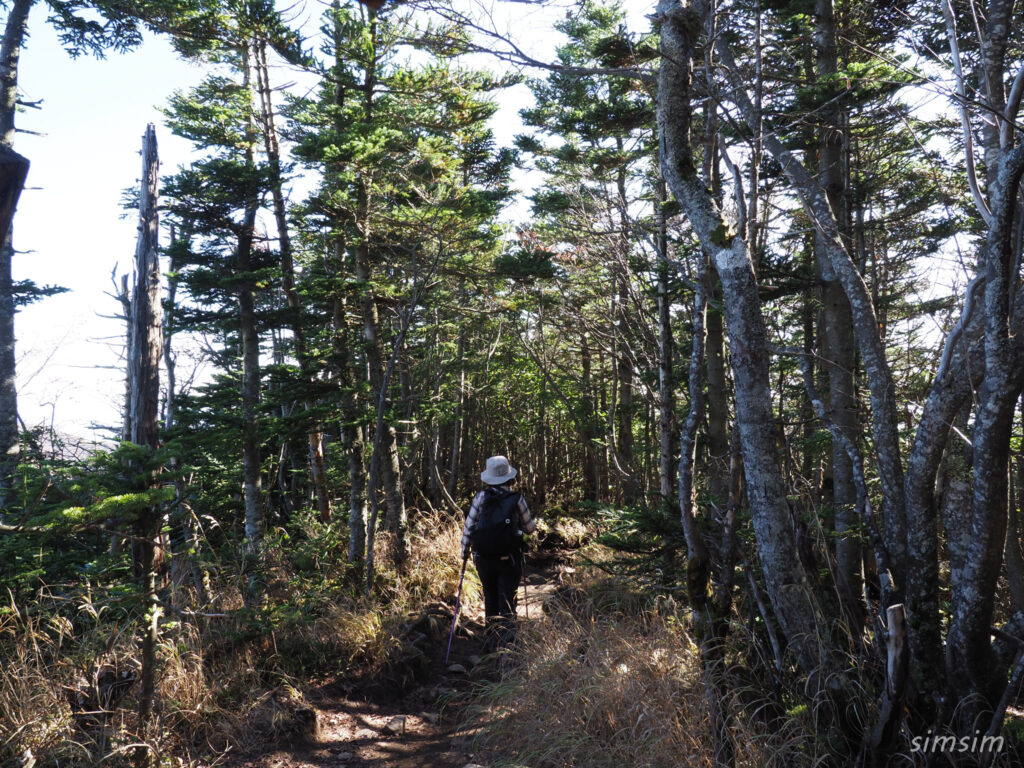 黒斑山登山　外輪山周回コース