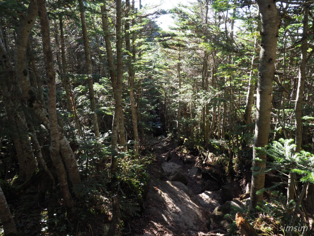 黒斑山登山　外輪山周回コース