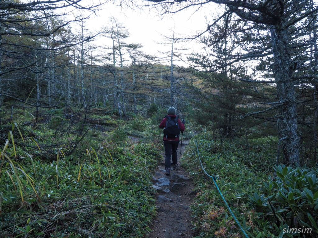 黒斑山登山　外輪山周回コース