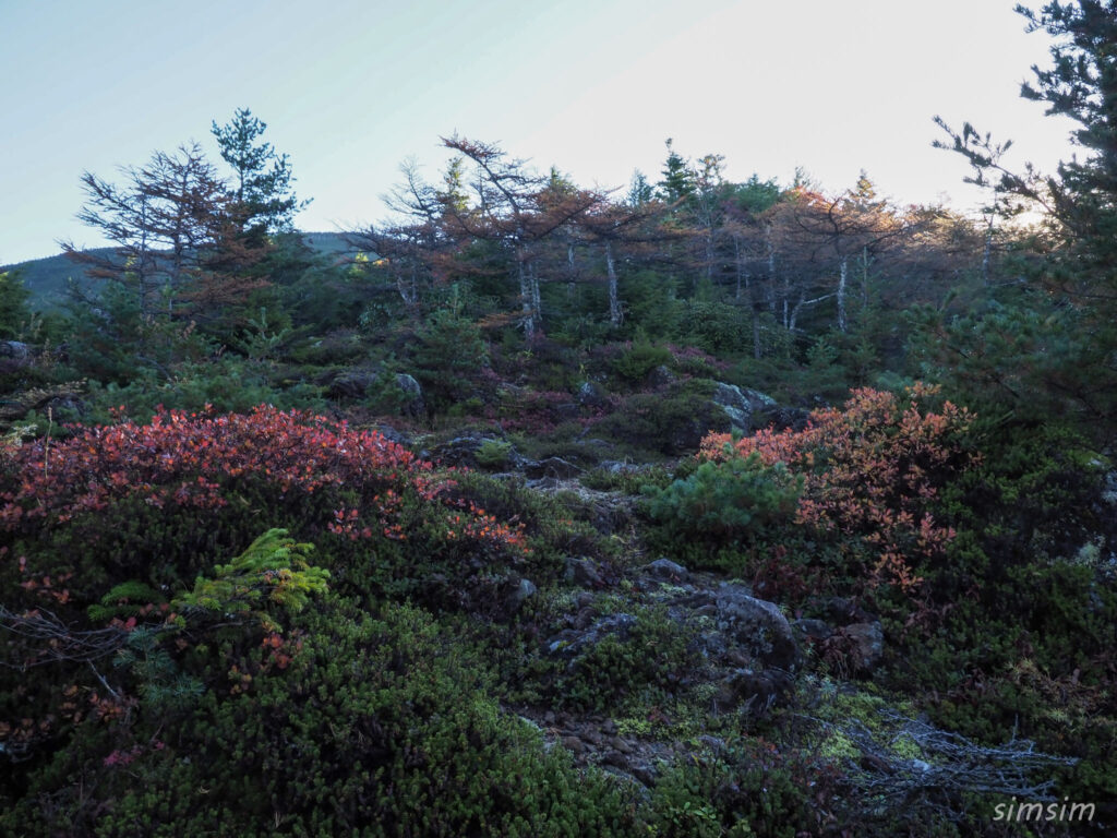 黒斑山登山　外輪山周回コース