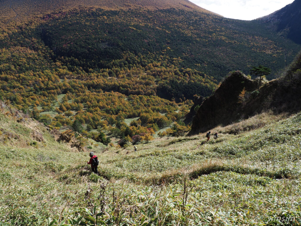 黒斑山登山　外輪山周回コース　草すべり