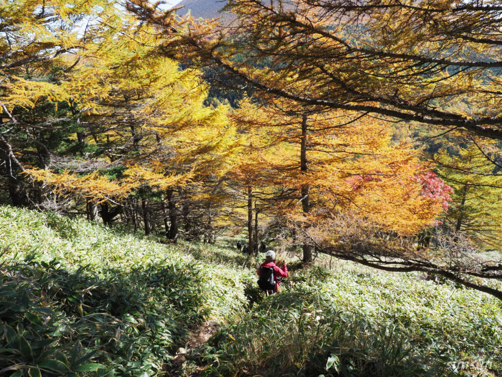 黒斑山登山　外輪山周回コース　草すべり