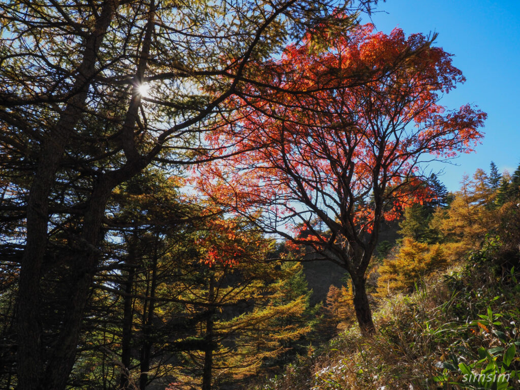 黒斑山登山　外輪山周回コース　草すべり